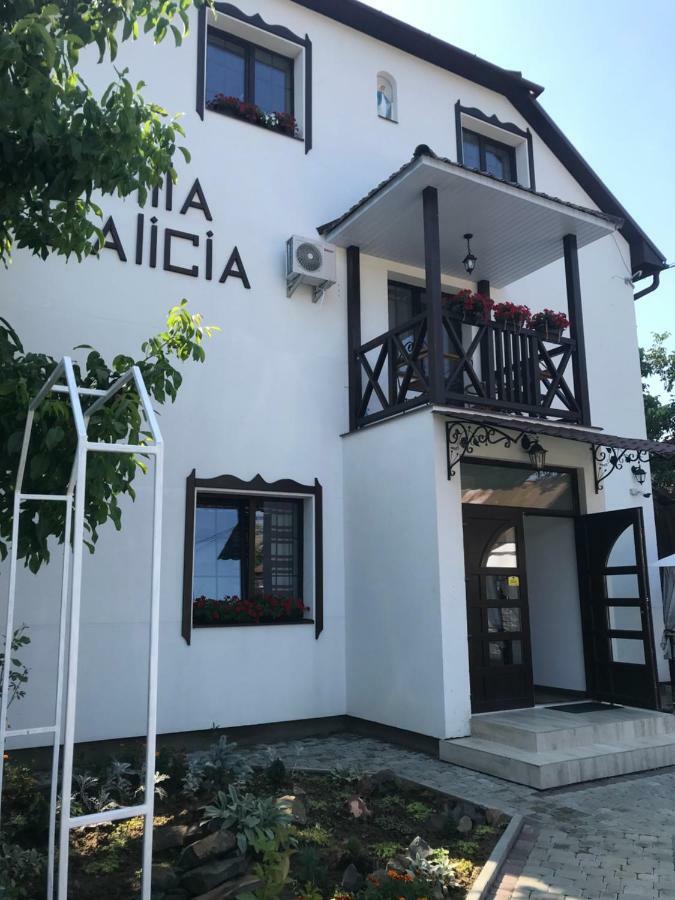 Villa Galicia Berehove  Exterior foto